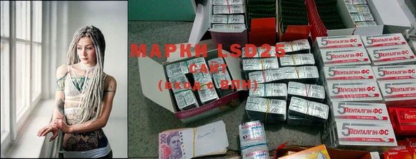 шишки Братск